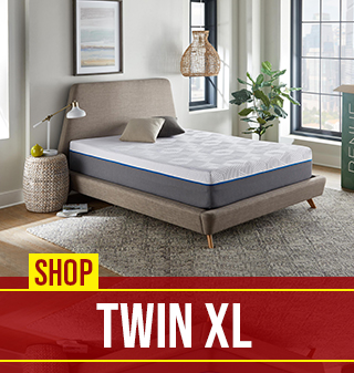 Shop Twin XL